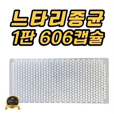 느타리버섯종균(1판 606알 접종형) 느타리 표고 성형 버섯 종균 텃밭 주말농장 캡슐형 친환경마켓, 1개