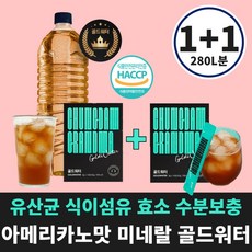 1+1 맛있는 수분보충 골드워터 (리터당 130원) 청담할머니 미네랄워터 다이어트 워터 2box 280L 2개