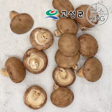 [공룡나라]고성 웅이표고농장 생표고버섯(생표고 중품1kg), 단품