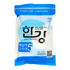여의도한강보트