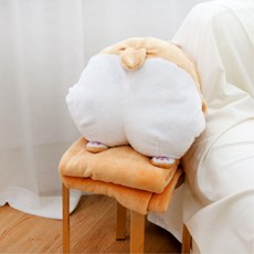 웰시코기담요