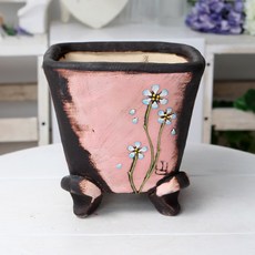 수연다육