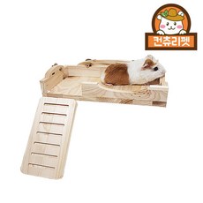 기니피그 고슴도치 친칠라 다람쥐 사다리 선반점프대, 1개