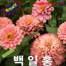 fbf9e3201a6a390ce0fe180c277dcc747cc5123ac135289bcb8e42ed3d87.png