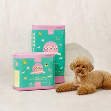 주주팸 코코패드 프리미엄 애완동물 배변패드 50매 (SAP6g), (3팩)