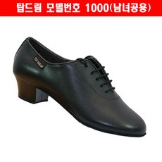 라틴화
