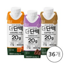 더 단백 프로틴 음료 3종 250ml 36팩 / 초코 카라멜 커피, 36개