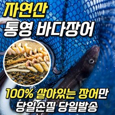 [최고의보양식] 통영 손질 장어 바다장어 대 특대 1kg 2kg 3kg 구이 구이용 진공 포장, 3. 자연산 바다장어 3kg(대)
