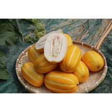 겨울 첫출하 고당도 성주참외 당일수확 산지직송 꿀참외 당도선별, 1박스, 가정실속형 3KG(랜덤과)