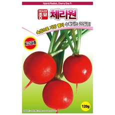 아시아종묘 적환무씨앗 체리원 (120g), 1개