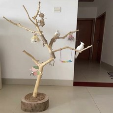 나뭇가지 새 놀이터 앵무새 원목 횟대 장난감 대형 나무 새장, E. 높이 1.5미터 +나무받침+마끈