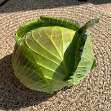 데친양배추