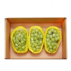 코스트코샤인머스켓