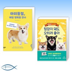 아리둥절에세이