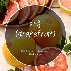 자몽프래그런스