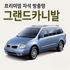 그랜드카니발블루투스오디오