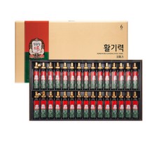 정관장활기력 세트 20ml 30병 쇼핑백 포함, 1개, 600ml