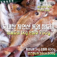 [산지직송] 국내산 자연산 통영 목포 생물참돔 1000g 손질후 750g. 횟감참돔 1000g 손질후 400g. 반건조참돔 34cm 500g 1박스, 통영 목포 반건조참돔 34cm 500g