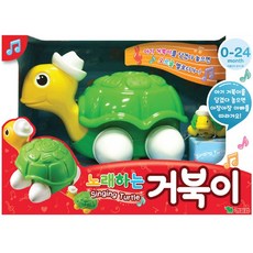 영실업 노래하는 거북이, 혼합색상, 1개