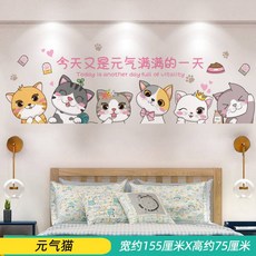 실사쉬폰패브릭