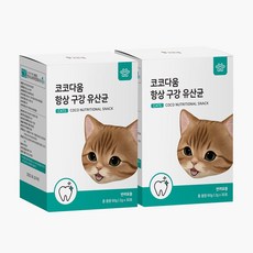 코코다움 고양이 구강케어 입냄새 잇몸 영양파우더 항상 구강 유산균, 2팩, 치석관리, 해조 - 코코다움