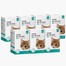  코코다움 고양이 구강케어 입냄새 잇몸 영양파우더 항상 구강 유산균, 7박스 