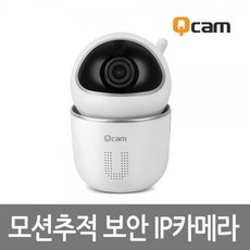 [서진네트웍스] IP카메라 QCAM-K1 [100만화소/HD]