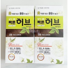 광동제약 내가 그린 빠른 허브 헤어칼라 염색약 160g x 10개 1호 2호 약국정품 셀프염색, 2호  10개