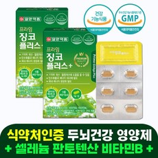뇌산소