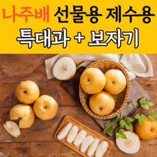 신선연구소나주산지직송나주배5kg가정용6-10과