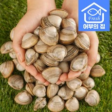 제철 칼국수 물총 조개 찜 구이 탕 동죽 1kg, 동죽 1kg (국내산), 1개