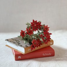 포인세티아조화