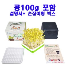집에서 콩나물 키우기 기르기 시루 식물 수경 재배기 세트 콩 100g (2회분) 포함, 10.노란콩나물콩 500g