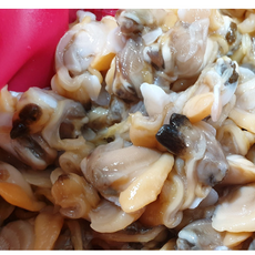 여수앤씨푸드 [생물] 여수 명품 바지락살 500g, 1개, 바지락살 500g [생물]