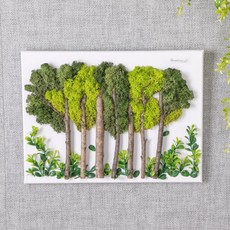  스칸디아모스 공기 정화 식물 천연 이끼 선물 가로숲캔버스set 30cm 단품 