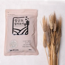 오너클랜 청산도 국산 컬러보리 500g x 6팩, 1