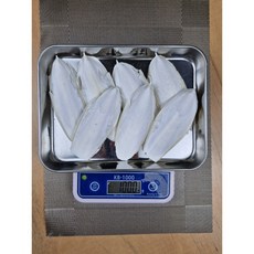 노블네스 천연 갑오징어뼈 (중형 7P)소형 동물 간식용 칼슘 영양제 (국내산), 1개, 100g