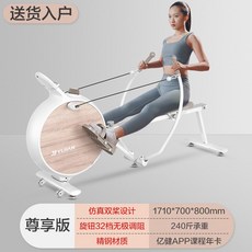 바디엑스로잉머신r2