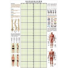 체형교정롤스크린