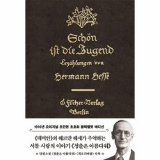 헤르만헤세청춘은아름다워 TOP01