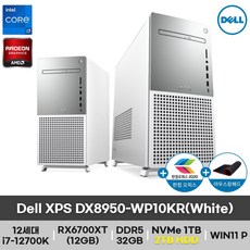 xps데스크탑