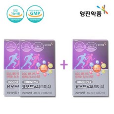 요오드 V4 180정 2+1 갑상선 셀렌 아연 비타민 온가족 영양제, 3개, 60정