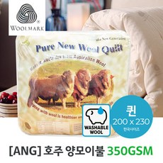 350gsm양모