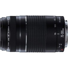 캐논 EF 75-300mm f/4-5.6 III 캐논 SLR 카메라용 망원 줌 렌즈