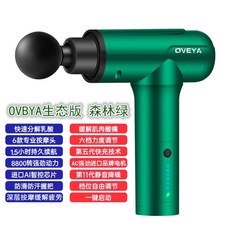 마사지건 진동 독일 근육 이완 등 목 전기 피트니스 장비 핸드 안마기 마사지기 휴대용 미니, 에코 모델 포레스트그린