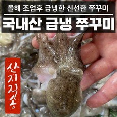 산지직송 국내산 급냉 쭈꾸미 국산 1kg 2kg 알배기 알쭈꾸미, 1. 쭈꾸미 1kg