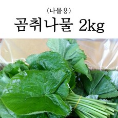 최상품 강원 양구 신지직송 당일수확 곰취나물 생곰취나물 1kg 2kg, 1박스, 02_최상품 곰취나물 2kg