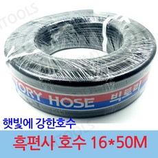 빅토리보노