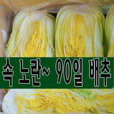 추천6 괴산절인배추