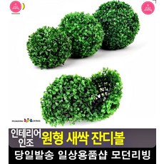 정원 베란다 싱그러움 연출 데코 잔디볼 생활용품 가든 옥상인테리어 옥상정원, 소